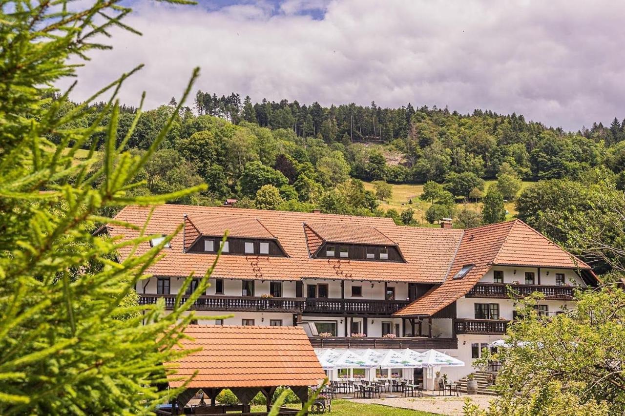Boutique Wellnesshotel Landmann Steinen  Екстериор снимка