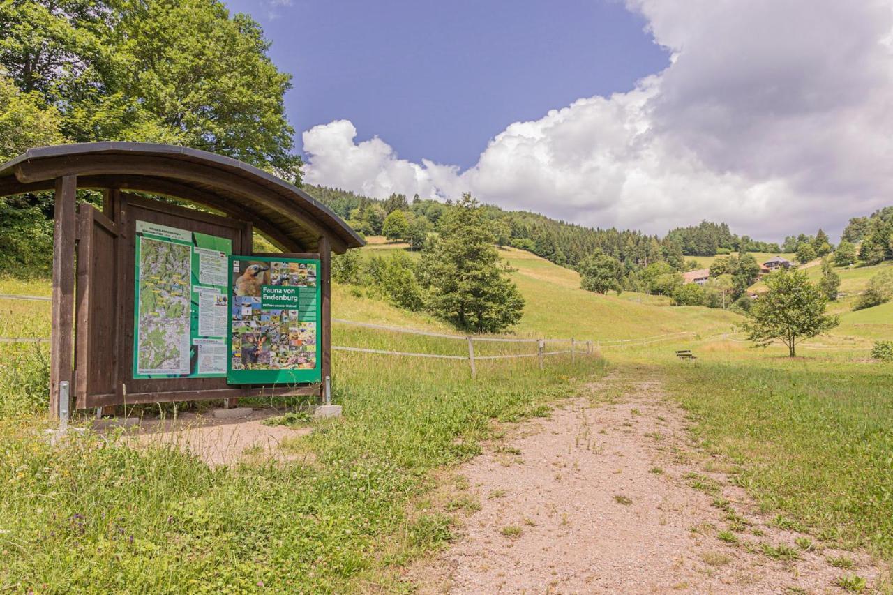 Boutique Wellnesshotel Landmann Steinen  Екстериор снимка